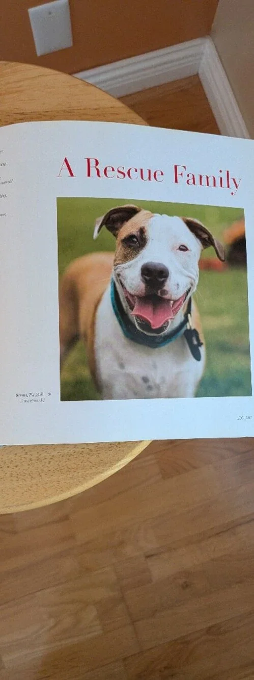 DOGIST Coffee Table Book - Brown Cover